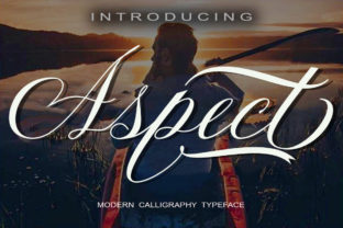 Aspect Font Review: A Bold Script for Strong Brand Statements