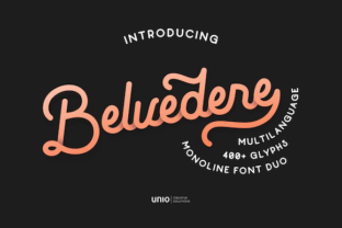 Belvedere Font: A Designer’s Go-To Script for Branding Projects