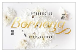 Bornena Font: A Script Amp with Delicate Elegance for Editorial Design